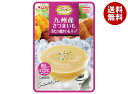 SSK シェフズリザーブ 九州産さつまいも 冷たい焼きいもスープ 160g×40袋入| 送料無料 冷製 スープ レトルト サツマイモ