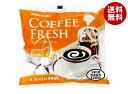守山乳業 コーヒーフレッシュ40 (4.5ml×40個)×12袋入×(2ケース)| 送料無料 トランス脂肪酸0 フレッシュ コーヒーミルク