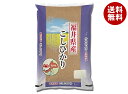 千亀利 【令和6年産】福井県産こしひかり 5kg×1袋入| 送料無料 米 お米 国産 精米 こしひかり ごはん ご飯