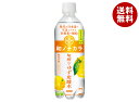 ダイドー 和ノチカラ 旬搾りゆず炭酸水 500mlペットボトル×24本入| 送料無料 炭酸 柚子 無糖 ビタミン
