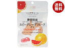 JA全農 ニッポンエール 静岡ルビーグレープフルーツ グミ 40g×10袋入| 送料無料 お菓子 グミ 国産 日本産 全農