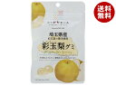 JA全農 ニッポンエール 埼玉県産彩玉梨 グミ 40g×10袋入×(2ケース)| 送料無料 お菓子 グミ 国産 日本産 全農