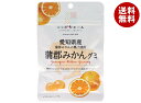 JA全農 ニッポンエール 愛知県産蒲郡みかん グミ 40g×10袋入| 送料無料 お菓子 グミ 国産 日本産 全農