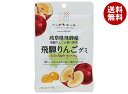 JA全農 ニッポンエール 岐阜県産飛騨りんご グミ 40g×10袋入| 送料無料 お菓子 グミ 国産 日本産 全農