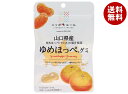 JA全農 ニッポンエール 山口県産ゆめほっぺ グミ 40g×10袋入×(2ケース)| 送料無料 お菓子 グミ 国産 日本産 全農