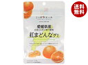JA全農 ニッポンエール 愛媛県産紅まどんな グミ 40g×10袋入| 送料無料 お菓子 グミ 国産 日本産 全農