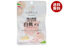 JA全農 ニッポンエール 山県産白桃 グミ 40g×10袋入×(2ケース)| 送料無料 お菓子 グミ 国産 日本産 全農