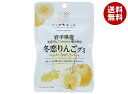 JA全農 ニッポンエール 岩手県産冬恋りんご グミ 40g×10袋入×(2ケース)| 送料無料 お菓子 グミ 国産 日本産 全農