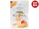 JA全農 ニッポンエール 宮崎県産マンゴー グミ 40g×10袋入×(2ケース)| 送料無料 お菓子 グミ 国産 日本産 全農