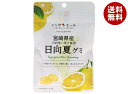 JA全農 ニッポンエール 宮崎県産日向夏 グミ 40g×10袋入×(2ケース)| 送料無料 お菓子 グミ 国産 日本産 全農