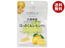 JA全農 ニッポンエール 広島県はっさく&レモン グミ 40g×10袋入| 送料無料 お菓子 グミ 国産 日本産 全農(4)