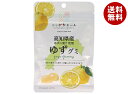 JA全農 ニッポンエール 高知県産ゆず グミ 40g×10袋入×(2ケース)| 送料無料 お菓子 グミ 国産 日本産 全農