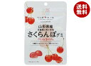 JA全農 ニッポンエール 山形県産さくらんぼ グミ 40g×10袋入×(2ケース)| 送料無料 お菓子 グミ 国産 日本産 全農