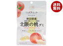 JA全農 ニッポンエール 秋田県産北限の桃 グミ 40g×10袋入×(2ケース)| 送料無料 お菓子 グミ 国産 日本産 全農