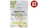 JA全農 ニッポンエール 京都府産京たんごメロン グミ 40g×10袋入×(2ケース)| 送料無料 お菓子 グミ 国産 日本産 全農