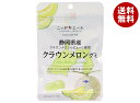 JA全農 ニッポンエール 静岡県産クラウンメロン グミ 40g×10袋入×(2ケース)| 送料無料 お菓子 グミ 国産 日本産 全農