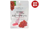 JA全農 ニッポンエール 石川県産ルビーロマン グミ 40g×10袋入×(2ケース)| 送料無料 お菓子 グミ 国産 日本産 全農