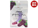 JA全農 ニッポンエール 大阪府産デラウェア グミ 40g×10袋入×(2ケース)| 送料無料 お菓子 グミ 国産 日本産 全農