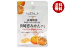 JA全農 ニッポンエール 長崎県産長崎恋みかん グミ 40g×10袋入×(2ケース)| 送料無料 お菓子 グミ 国産 日本産 全農