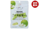 JA全農 ニッポンエール 鳥取県産二十世紀梨 グミ 40g×10袋入×(2ケース)| 送料無料 お菓子 グミ 国産 日本産 全農