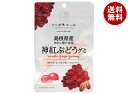 JA全農 ニッポンエール 島根県産神紅ぶどう グミ 40g×10袋入×(2ケース)| 送料無料 お菓子 グミ 国産 日本産 全農