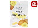 JA全農 ニッポンエール 東京ゴールドキウイ グミ 40g×10袋入×(2ケース)| 送料無料 お菓子 グミ 国産 日本産 全農