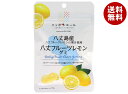 JA全農 ニッポンエール 八丈島産八丈島レモン グミ 40g×10袋入×(2ケース)| 送料無料 お菓子 グミ 国産 日本産 全農