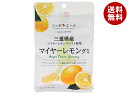 JA全農 ニッポンエール 三重県産マイヤーレモン グミ 40g×10袋入×(2ケース)| 送料無料 お菓子 グミ 国産 日本産 全農