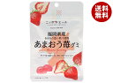 JA全農 ニッポンエール 福岡県産あまおう グミ 40g×10袋入×(2ケース)| 送料無料 お菓子 グミ 国産 日本産 全農