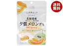 JA全農 ニッポンエール 北海道産夕張メロン グミ 40g×10袋入×(2ケース)| 送料無料 お菓子 グミ 国産 日本産 全農