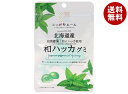 JA全農 ニッポンエール 北海道産和ハッカ グミ 40g×10袋入×(2ケース)| 送料無料 お菓子 グミ 国産 日本産 全農