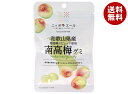 JA全農 ニッポンエール 和歌山県産南高梅 グミ 40g×10袋入| 送料無料 お菓子 グミ 国産 日本産 全農