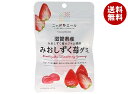 JA全農 ニッポンエール 滋賀県産みおしずく苺 グミ 40g×10袋入×(2ケース)| 送料無料 お菓子 グミ 国産 日本産 全農