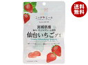 JA全農 ニッポンエール 宮城県産仙台いちご グミ 40g×10袋入×(2ケース)| 送料無料 お菓子 グミ 国産 日本産 全農