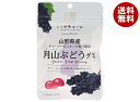 JA全農 ニッポンエール 山形県産月山ぶどう グミ 40g×10袋入×(2ケース)| 送料無料 お菓子 グミ 国産 日本産 全農