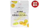 JA全農 ニッポンエール 福井県産完熟福太夫梅 グミ 40g×10袋入×(2ケース)| 送料無料 お菓子 グミ 国産 日本産 全農