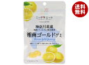 JA全農 ニッポンエール 神奈川県産湘南ゴールド グミ 40g×10袋入×(2ケース)| 送料無料 お菓子 グミ 国産 日本産 全農