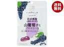 JA全農 ニッポンエール 岩手産山葡萄 グミ 40g×10袋入×(2ケース)| 送料無料 お菓子 グミ 国産 日本産 全農