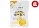 JA全農 ニッポンエール 千葉県産豊水梨 グミ 40g×10袋入×(2ケース)| 送料無料 お菓子 グミ 国産 日本産 全農