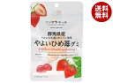 JA全農 ニッポンエール 群馬やよいひめ苺 グミ 40g×10袋入| 送料無料 お菓子 グミ 国産 日本産 全農