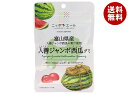 JA全農 ニッポンエール富山県入善ジャンボ西瓜 グミ 40g×10袋入×(2ケース)| 送料無料 お菓子 グミ 国産 日本産 全農
