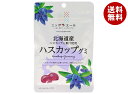 JA全農 ニッポンエール 北海道ハスカップ グミ 40g×10袋入×(2ケース)| 送料無料 お菓子 グミ 国産 日本産 全農