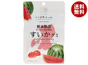 JA全農 ニッポンエール 熊本県産すいか グミ 40g×10袋入×(2ケース)| 送料無料 お菓子 グミ 国産 日本産 全農