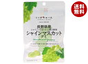 JA全農 ニッポンエール 長野県産シャインマスカット グミ 40g×10袋入×(2ケース)| 送料無料 お菓子 グミ 国産 日本産 全農
