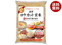 東洋ライス 金芽ロウカット玄米 2kg×1袋入| 送料無料 ご飯 米 玄米