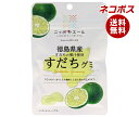 ネコポス JA全農 ニッポンエール 徳島県産すだち グミ 40g×10袋入| 全国送料無料 お菓子 グミ 国産 日本産 全農