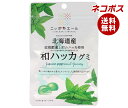 ネコポス JA全農 ニッポンエール 北海道産和ハッカ グミ 40g×10袋入| 全国送料無料 お菓子 グミ 国産 日本産 全農