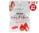 ネコポス JA全農 ニッポンエール 滋賀県産みおしずく苺 グミ 40g×10袋入| 全国送料無料 お菓子 グミ 国産 日本産 全農
