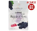 ネコポス JA全農 ニッポンエール 山形県産月山ぶどう グミ 40g×10袋入| 全国送料無料 お菓子 グミ 国産 日本産 全農