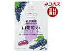 ネコポス JA全農 ニッポンエール 岩手産山葡萄 グミ 40g×10袋入| 全国送料無料 お菓子 グミ 国産 日本産 全農